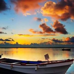 91香蕉视频导航
